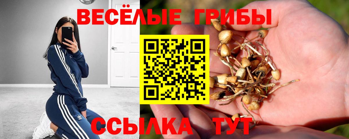 Галлюциногенные грибы ЛСД  Галлюциногенные грибы GOLDEN TEACHER  Тавда  Вход с VPN 
